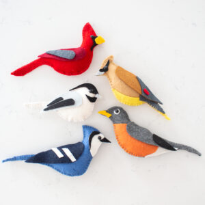 Set of 5 Felt Bird Craft Patterns and Cut Files