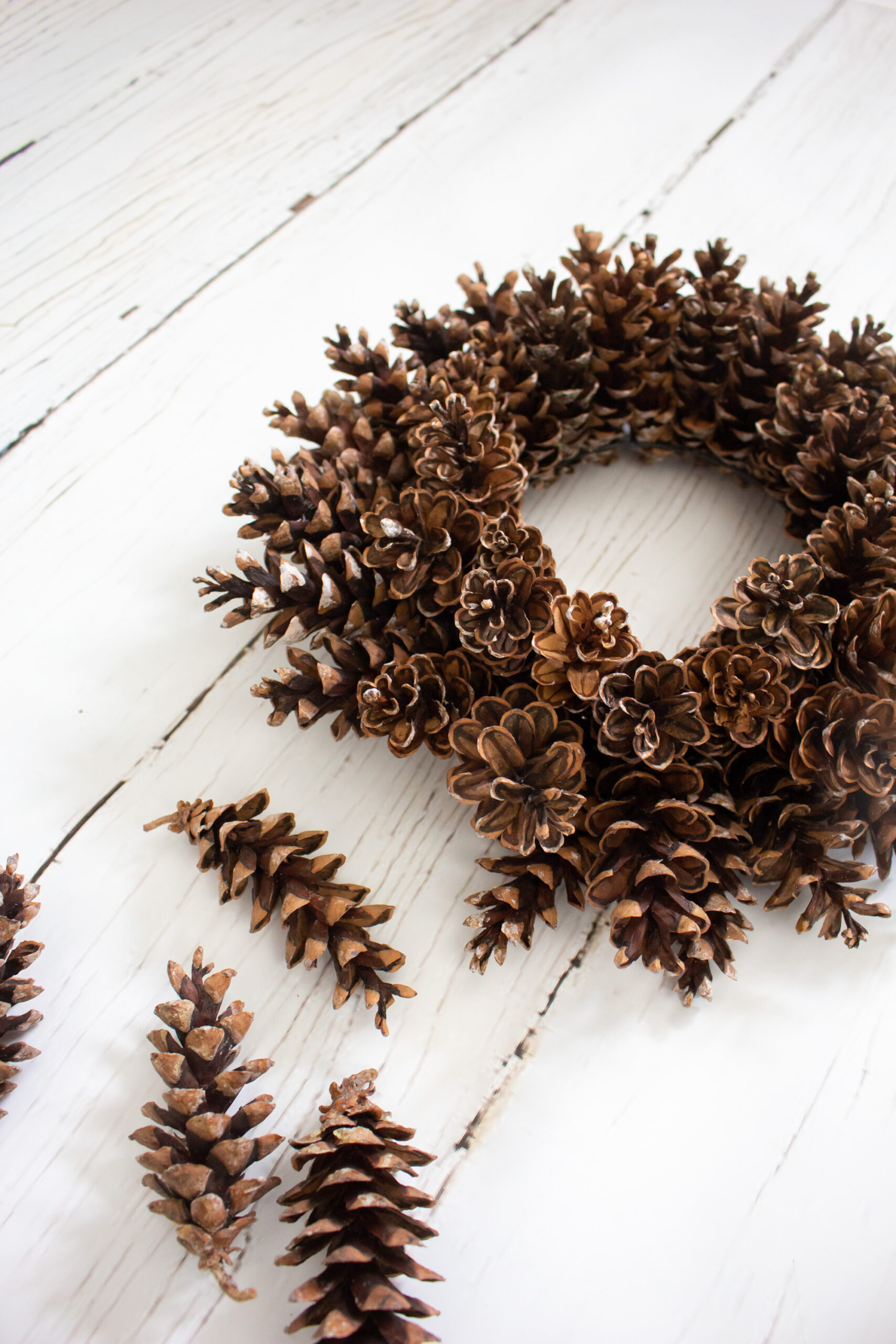 Eastern White Pine Cone Wreath: Craft Kit - Image 7