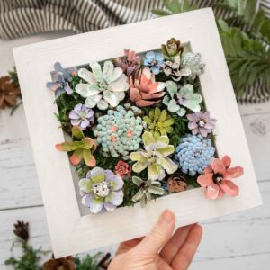Pine Cone Succulent Arrangement: Craft Kit