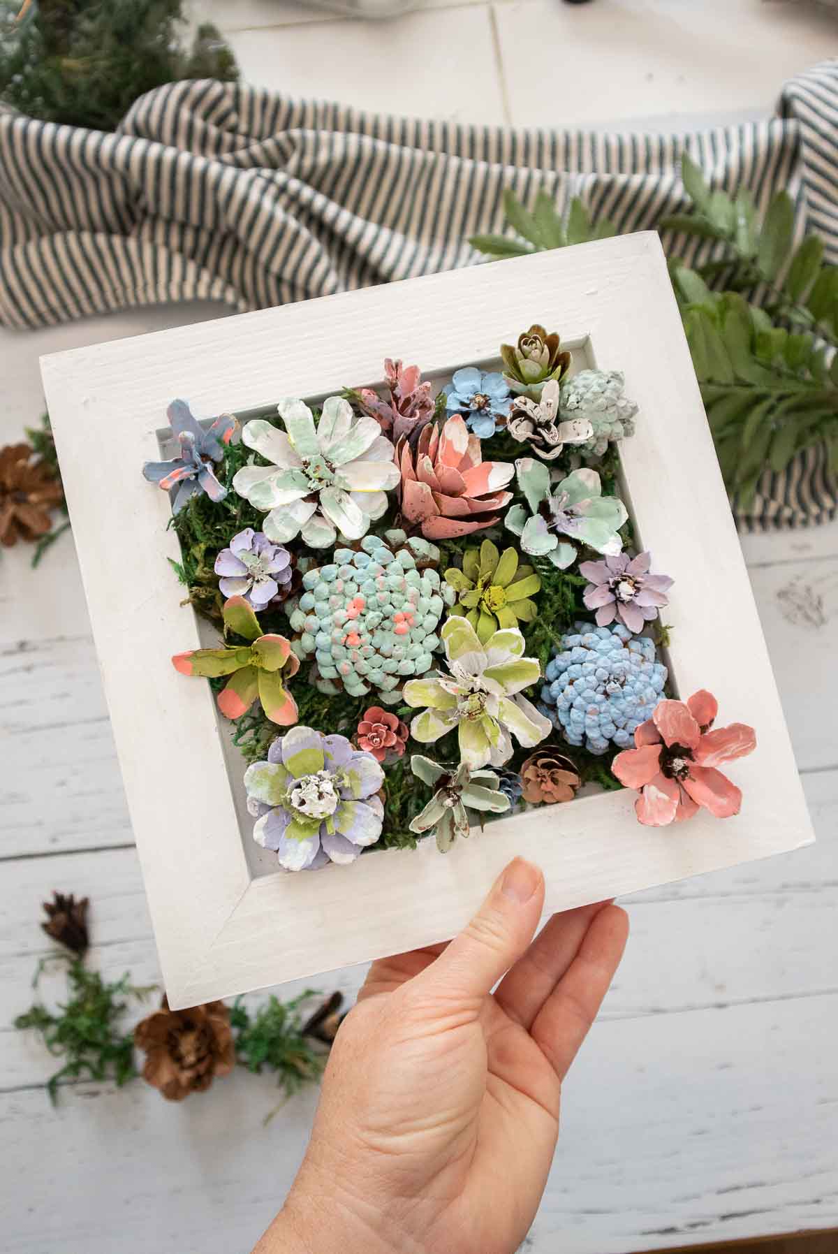 Pine Cone Succulent Arrangement: Craft Kit