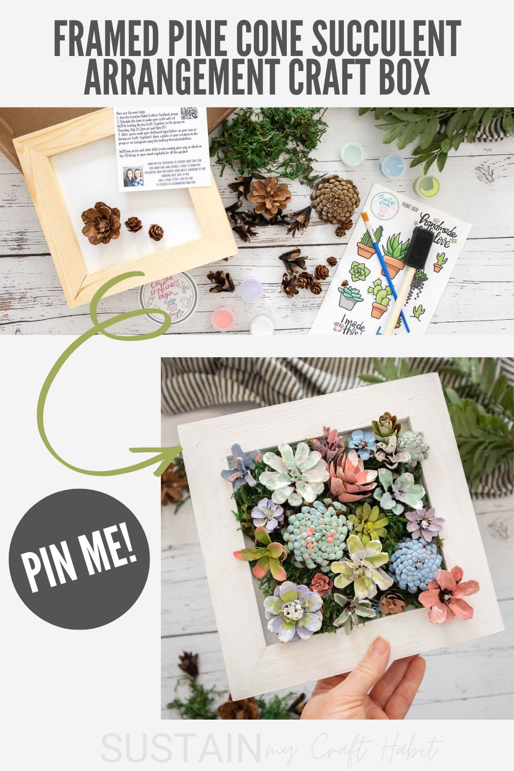 Pine Cone Succulent Arrangement: Craft Kit - Image 11