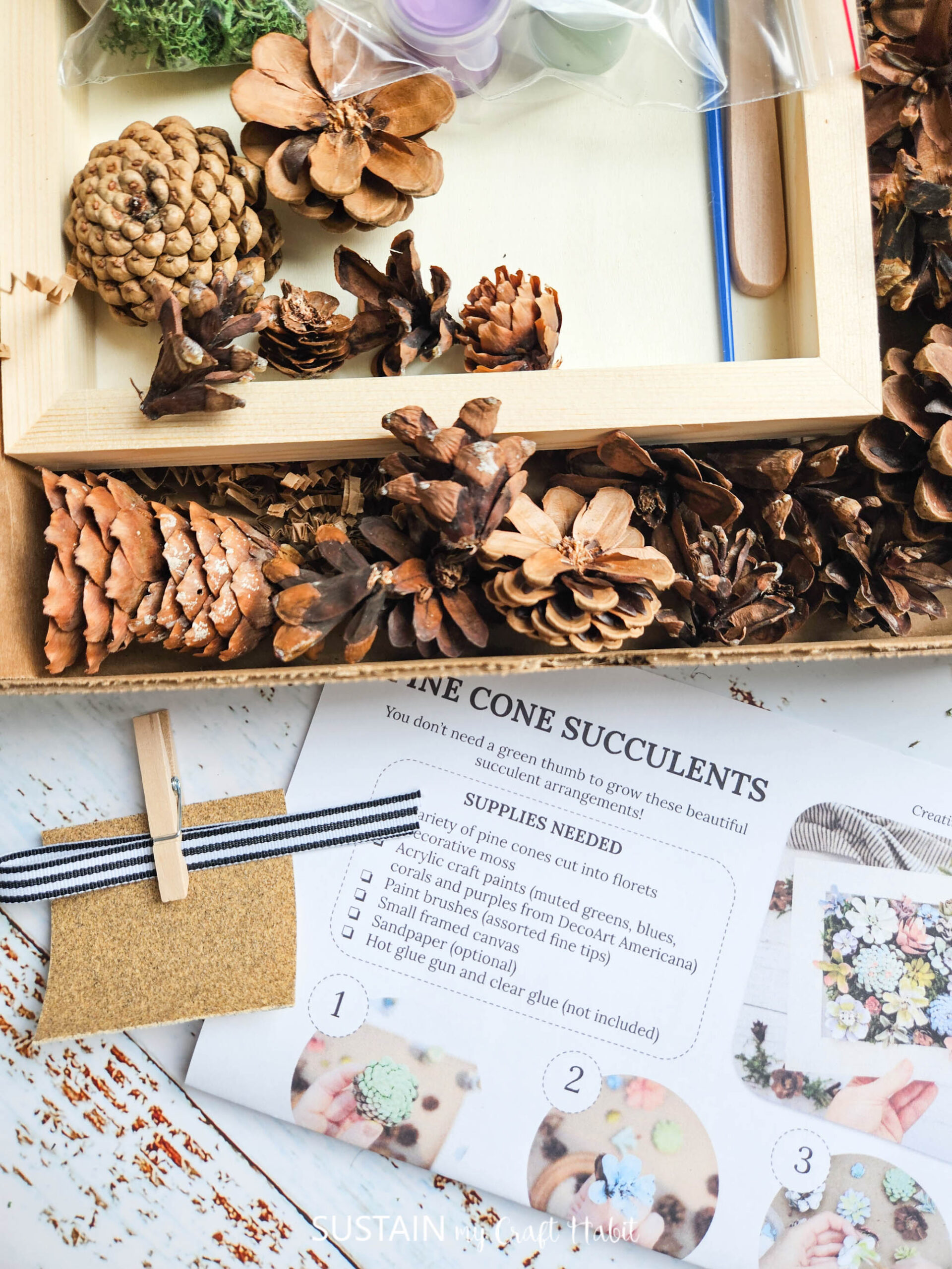 Pine Cone Succulent Arrangement: Craft Kit - Image 9