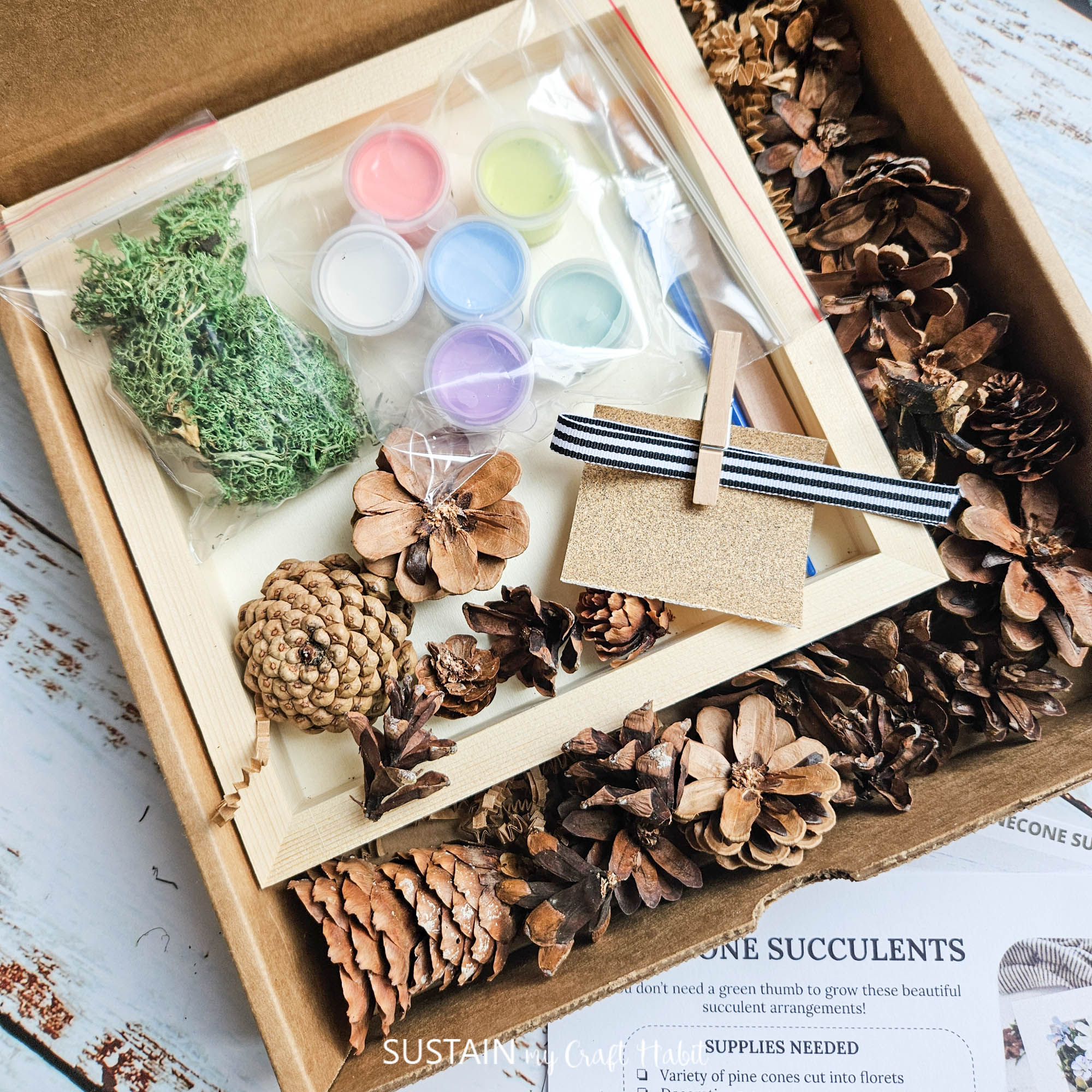 Pine Cone Succulent Arrangement: Craft Kit - Image 10
